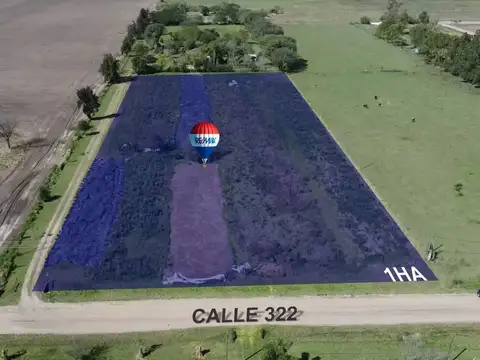 Se vende 1HA acceso norte de Avellaneda