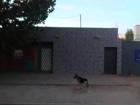 San Martin Al 1200, Rincón De Los Sauces.