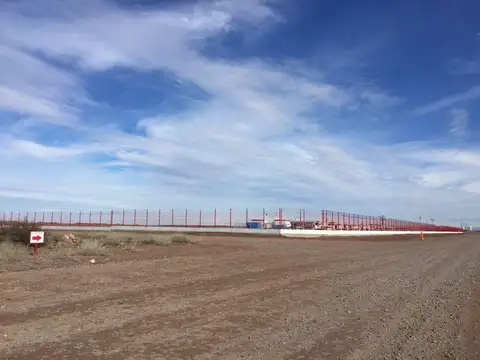 Lote Venta 1 HA  Parque Industrial Añelo Vaca Muerta