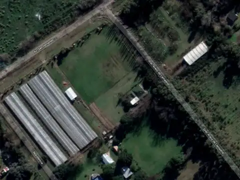 ARAOZ DE LAMADRID, G. 100