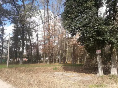 Lote En Venta Loma Verde