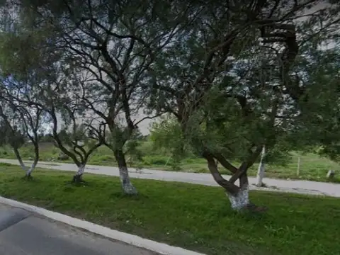 Terreno en Alquiler 10  mts Fondo