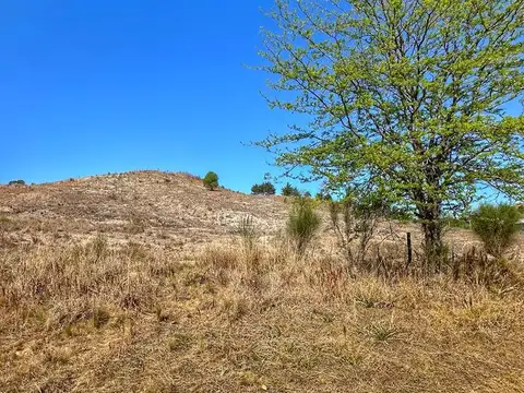 Terreno en Venta 113  mts Fondo