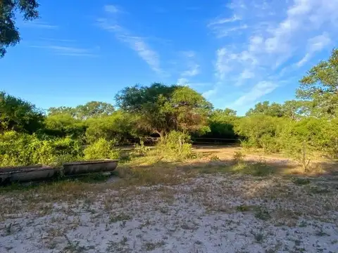 CAMPO GANADERO EN LA GALLARETA