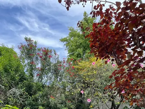 Alquiler Local ideal Gastronomia Palermo Soho