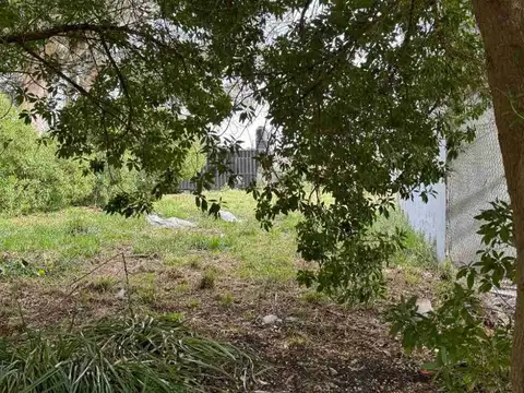 Calle 10 entre 465 y 467