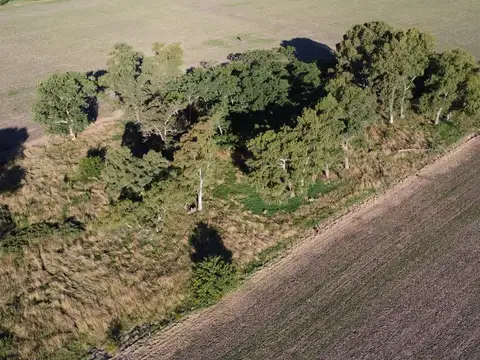 20 ha agricolas en Roque Perez