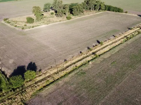 20 ha agricolas en Roque Perez