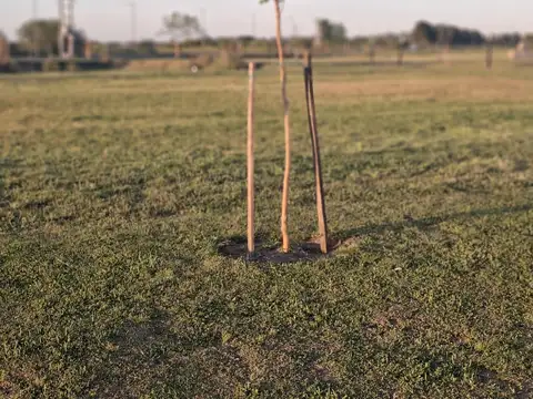 LOS PASOS ARROYO COUNTRY     AVENIDA 1688 1600