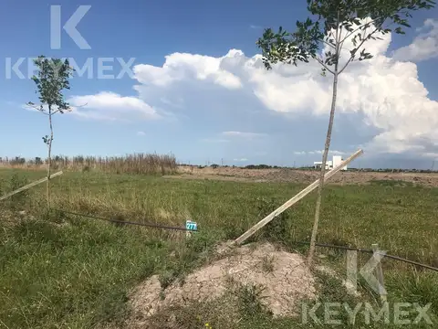 Terreno en Venta en Campos De La Enriqueta, USD 20.000