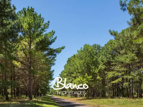 Terreno Lote  en Venta en Pinares CC, Exaltación de la Cruz, G.B.A. Zona Norte