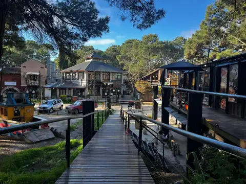 Miguel Cané y El Ceibo