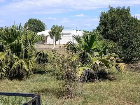 Saavedra Y Cordoba 100