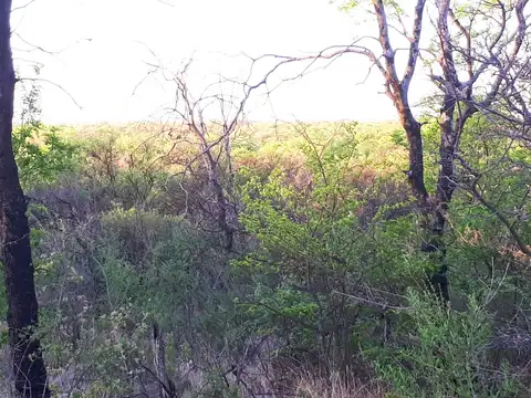 Vendo terreno de 1.925m² de en Las Gramillas, San Marcos Sierras