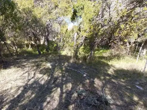 Oportunidad de negocio