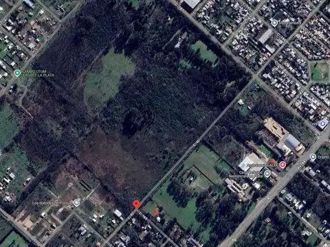 Terreno en Venta de 61920,0 m2