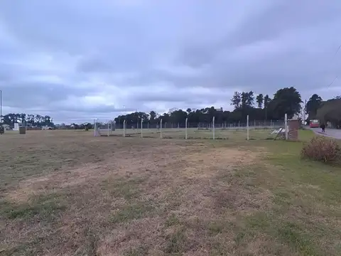 Terreno en Venta de 300,0 m2