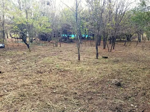 Terreno en Venta en Villa Santa Cruz del Lago, USD 33.000