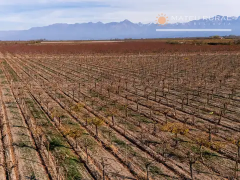 Finca en Cordón del Plata