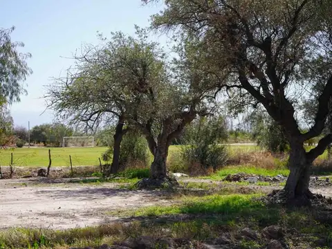 LOTE TERRENO EN VENTA 3700 M2 COQUIMBITO, MAIPÚ