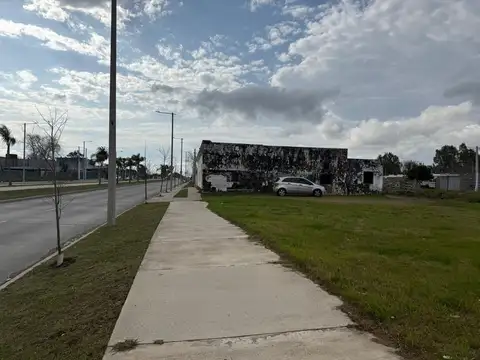 Avenida José Belloni 5600