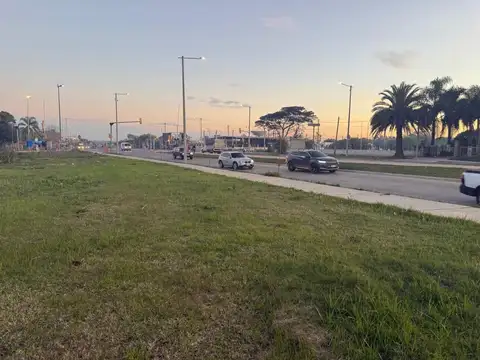 Avenida José Belloni 5600