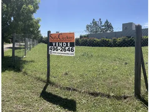 Las Tardes Norte 2187