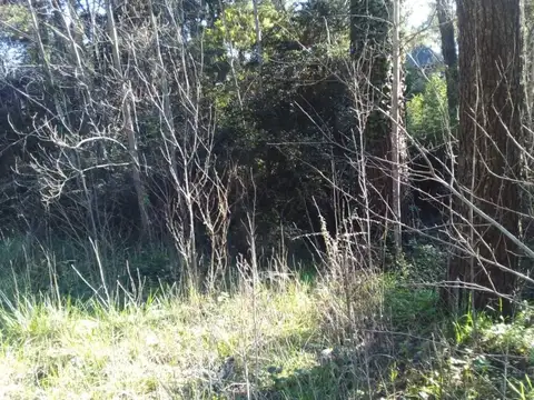 Terreno en Venta de 959,0 m2