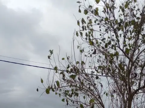 Terreno en Venta de 280,0 m2