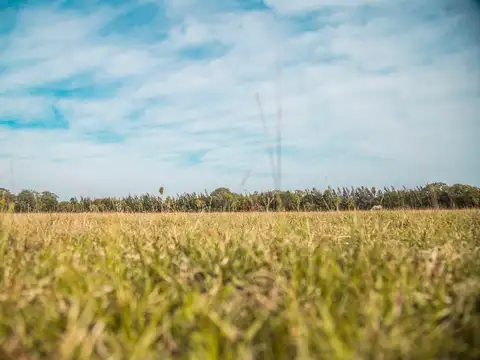 TERRENOS/FRACCIONES/LOTEOS - LOTEOS - CORRIENTES
