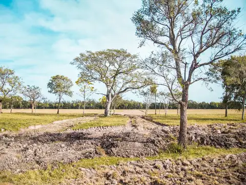 Terreno en Venta en Corrientes, USD 1