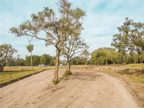 Terreno en Venta de 1050,0 m2