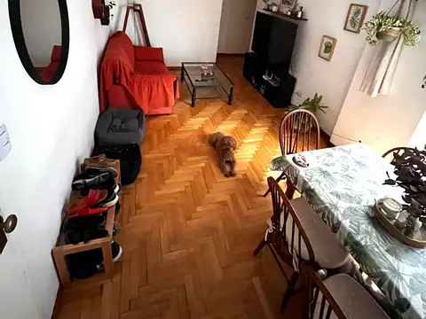 Roque Sáenz Peña 300, Piso 1