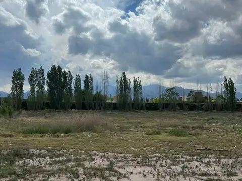 Terreno en Venta en Lujan De Cuyo, USD 58.000