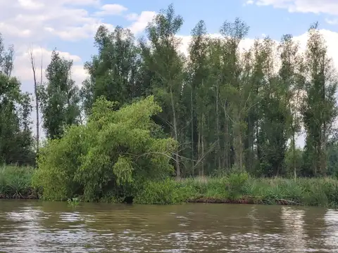 Rio Paraná Kilometro 128