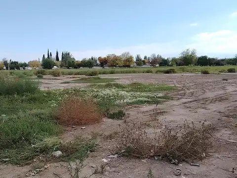 Fitz Roy s/n El Sauce, Guaymallén, Mendoza