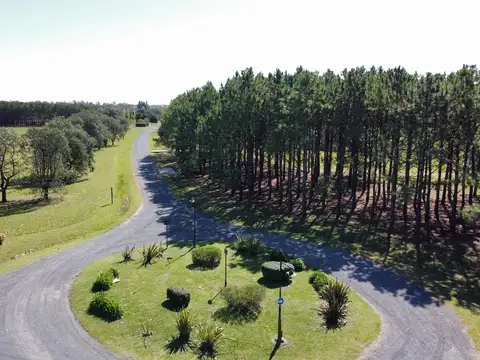 La Macarena Barrio de Chacras