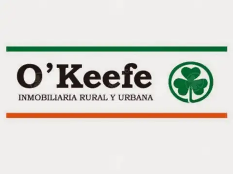 Galpon en Alquiler 44  m frente