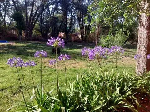 Alquiler casa/pileta/ 1/2 hect.  La Reja