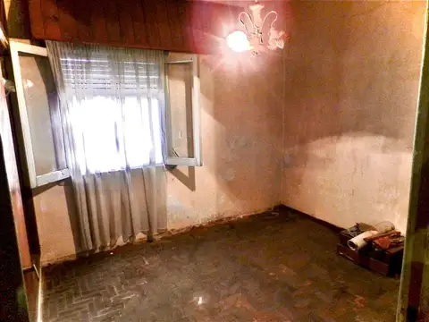 Profesor Cid Guidi de Franc 300