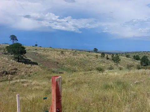 SE VENDE LOTE 700 M EN LA TORCACITA