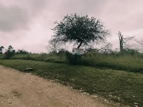 Terreno en Venta de 3002,0 m2