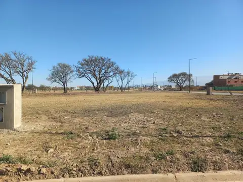 Zona Aeropuerto. Vía Aurelia. Mza 50. Lote 100