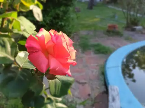 Casa en Venta al Este