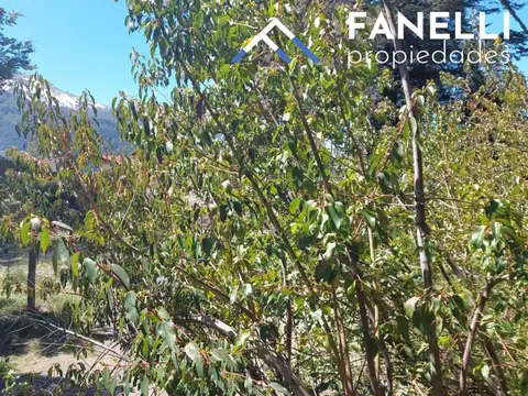 Terreno en Venta, FOT 30