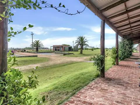 Venta Chacra Pueblo Garzon Ruta 9 José Ignacio