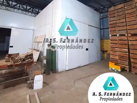 QUINTA CÍTRICA CON GALPONES, EMPAQUES Y CASA PRINCIPAL