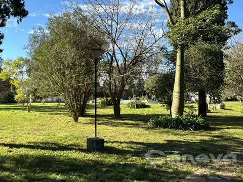 Excelentes 4 lotes en Asamblea y San Blas