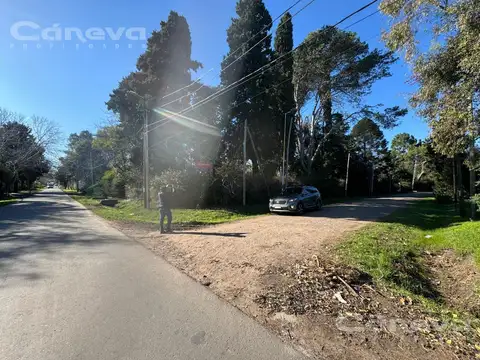 Asamblea  y San Blas