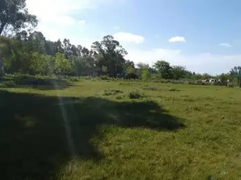 Terreno en Venta en Abasto, USD 55.000